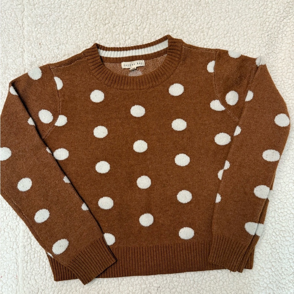 Brown Polka Dot Sweater size M